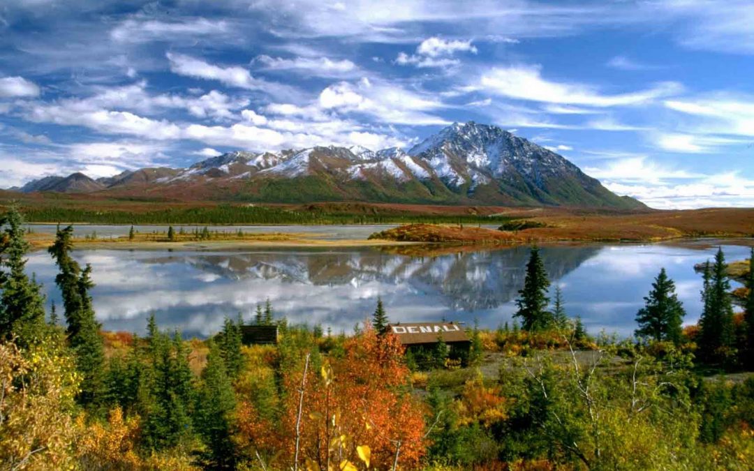 denali alaskan wilderness